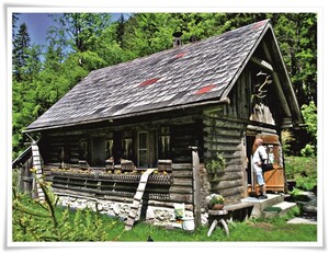 Hütte im Wald